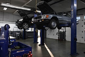 The Shop Gallery Image