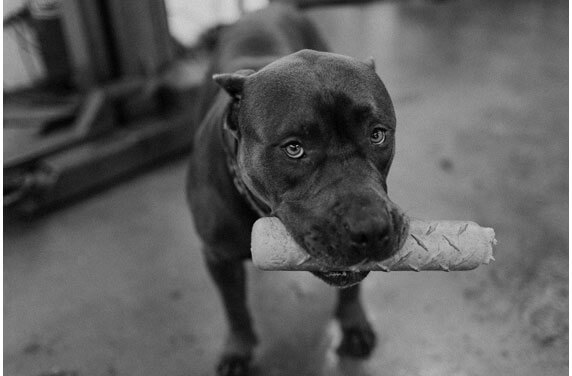 Richmond Auto Repair 7