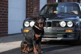 The Shop E30 Gallery Image