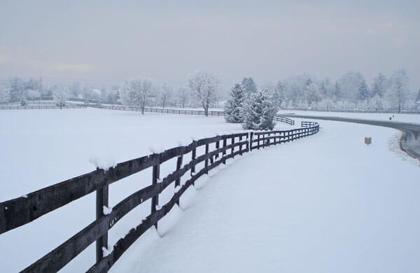 VA in Snow
